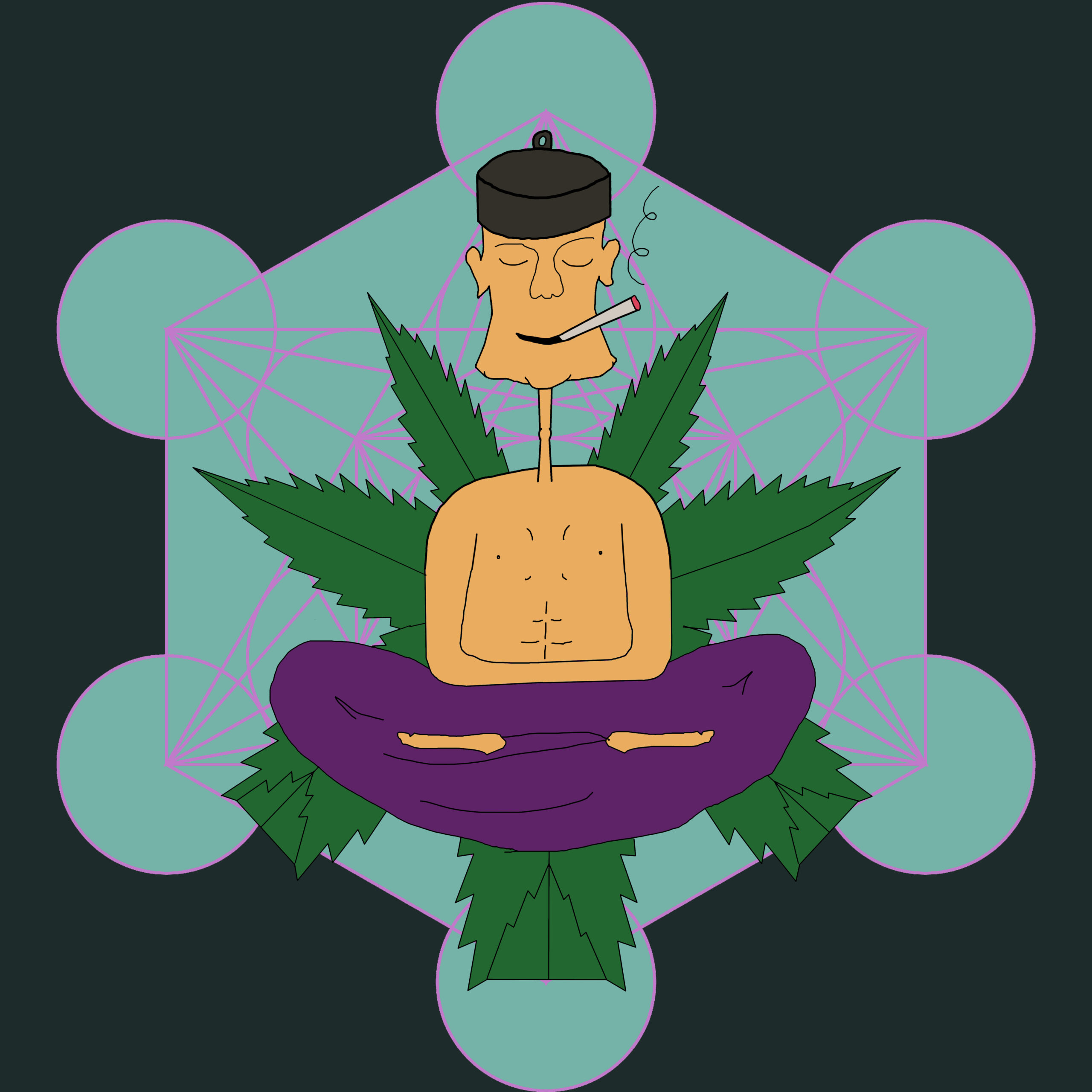 Token #0013 — OG PotHead NFT